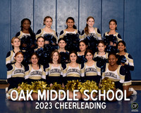 OM Winter Teams 2223 Cheerleading  _ Team8x10 _ Team3 white text(1)