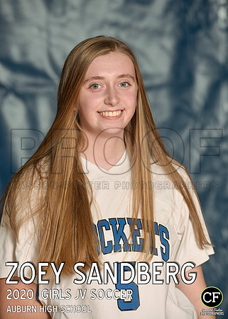 AHS Fall Teams 2021 Girls JV Soccer Sandberg Zoey_ Team5x7 _ Individual2(1)