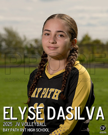 BPFallTeams25 JV Volleyball DaSilva Elyse_ Team8x10 _ Individual 8x10(1)