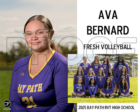 BPFallTeams25 Fresh Volleyball Bernard Ava_ Team8x10 _ Sportsmate4(1)