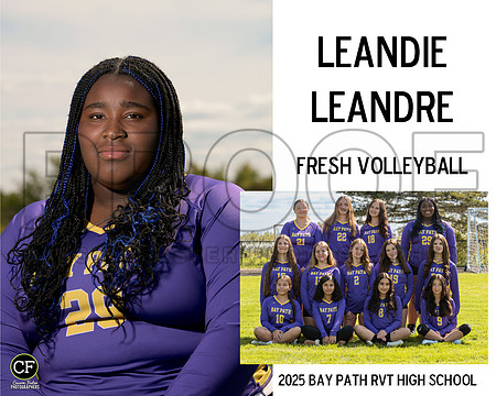BPFallTeams25 Fresh Volleyball Leandre Leandie_ Team8x10 _ Sportsmate4(1)