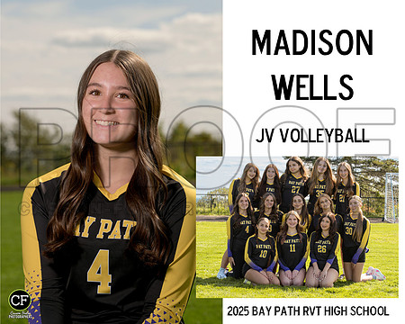 BPFallTeams25 JV Volleyball Wells Madison_ Team8x10 _ Sportsmate4(1)