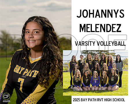 BPFallTeams25 Varsity Volleyball Melendez Johannys_ Team8x10 _ Sportsmate4(1)