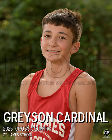 StJamesFall25 Cross Country Cardinal Greyson_ Team8x10 _ Individual 8x10(1)