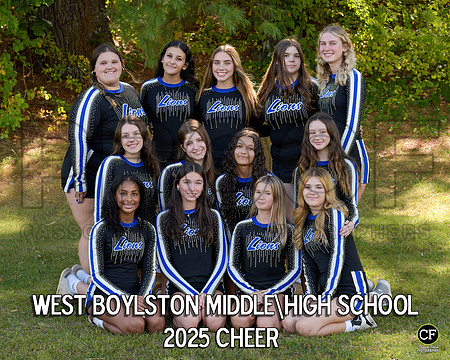 WB FALL TEAMS 25 Cheer _ Team8x10 _ Team3 white text(1)