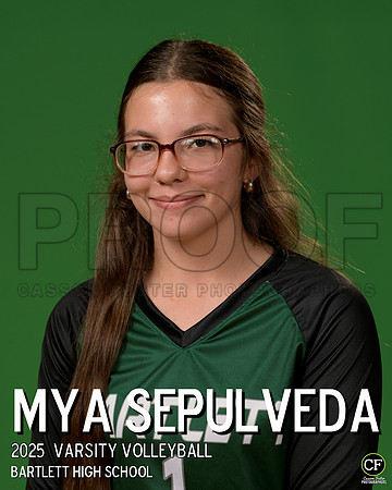 BHS Fall Teams 25 Varsity Volleyball Sepulveda Mya_ Team8x10 _ Individual 8x10(1)