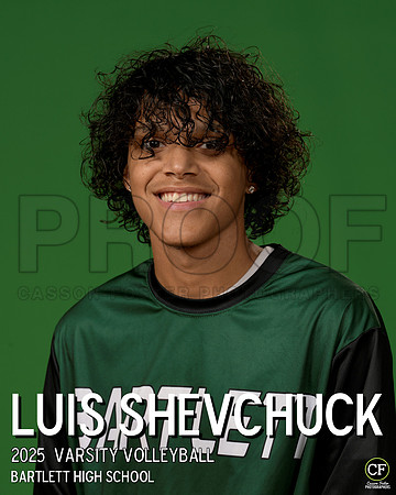 BHS Fall Teams 25 Varsity Volleyball Shevchuck Luis_ Team8x10 _ Individual 8x10(1)