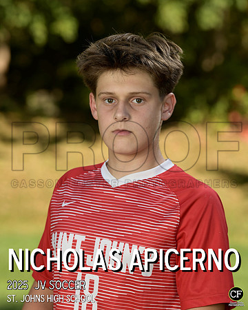 SJFallTeams25 JV Soccer Apicerno Nicholas_ Team8x10 _ Individual 8x10(1)