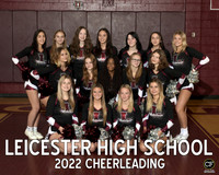 LHS Fall Teams 2223 Cheerleading  _ Team8x10 _ Team3 white text(1)