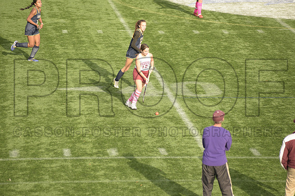 _SRD3675