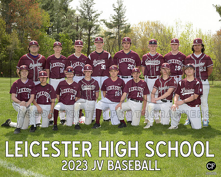 LHS Spring Teams 2223 JV Baseball  _ Team8x10 _ Team3 white text(1)