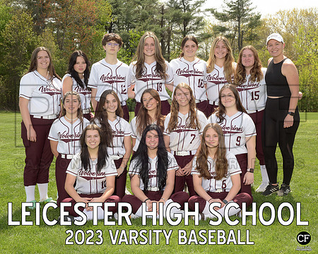 LHS Spring Teams 2223 Varsity Baseball  _ Team8x10 _ Team3 white text#2(1)