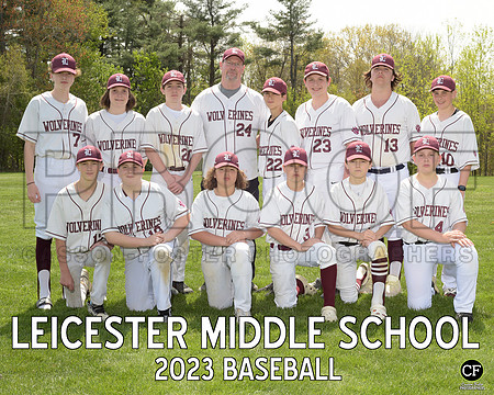 LMS Spring Teams 2223 Baseball  _ Team8x10 _ Team3 white text(1)
