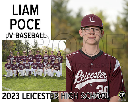 LHS Spring Teams 2223 JV Baseball Poce Liam_ Team8x10 _ Sportsmate2(1)