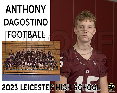 LHS Fall Teams 2324 Football Dagostino Anthony_ Team8x10 _ Sportsmate3(1)