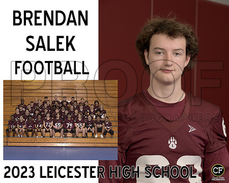 LHS Fall Teams 2324 Football Salek Brendan_ Team8x10 _ Sportsmate3(1)