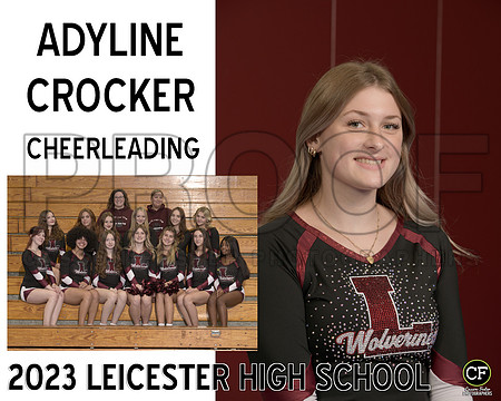 LHS Fall Teams 2324 Cheerleading Crocker Adyline_ Team8x10 _ Sportsmate3(1)