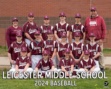 LMS Spring Teams 24 Baseball  _ Team8x10 _ Team3 white text(1)