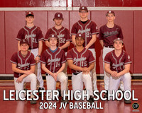 LHS Spring Teams 24 JV Baseball  _ Team8x10 _ Team3 white text(1)