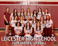 LHS Spring Teams 24 Varsity Softball  _ Team8x10 _ Team3 white text(1)