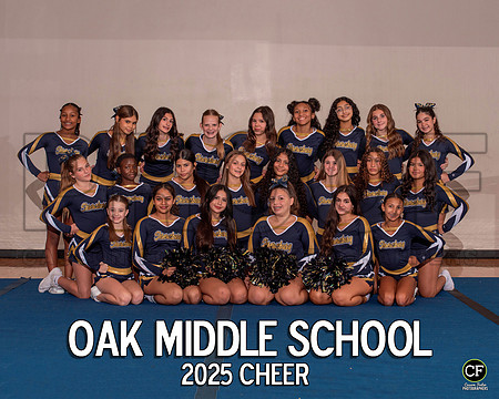 OMSFallTeams25 Cheer _ Team8x10 _ Team3 white text(1)