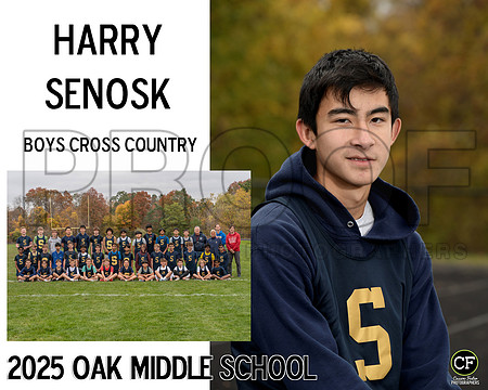 OMSFallTeams25 Boys Cross Country Senosk Harry_ Team8x10 _ Sportsmate3(1)