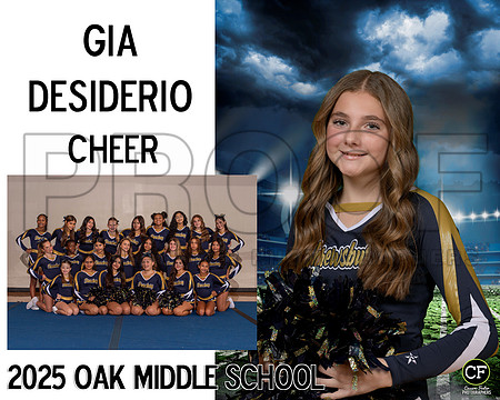 OMSFallTeams25 Cheer Desiderio Gia_ Team8x10 _ Sportsmate3(1)