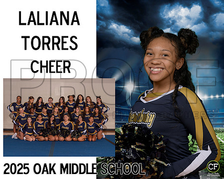 OMSFallTeams25 Cheer Torres Laliana_ Team8x10 _ Sportsmate3(1)
