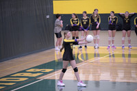 _NMD9029