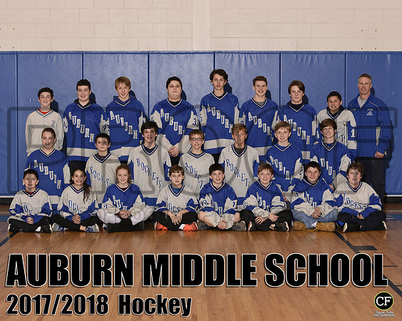 aHockey 810.Hockey.jpg _ Team8x10 _ Team(1)