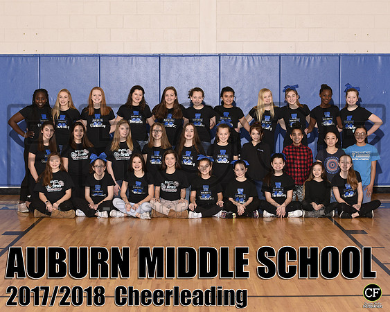 aCheerleading 810.Cheer.jpg _ Team8x10 _ Team(1)
