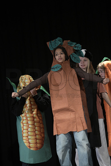 _DSC0454