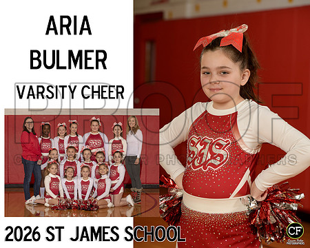 StJamesWinterTeams26 Varsity Cheer Bulmer Aria_ Team8x10 _ Sportsmate3#-1(1)