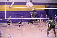 _NMD1278