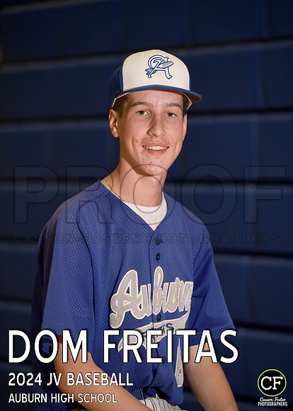 AHSSpringTeams24 JV Baseball Freitas Dom_ Team5x7 _ Individual2(1)