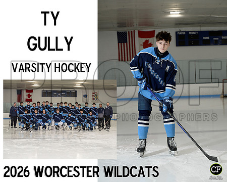 WorcWildcats26 Varsity Hockey Gully Ty_ Team8x10 _ Sportsmate3(1)