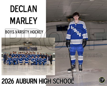 AHSWinterTeams26 Boys Varsity Hockey Marley Declan_ Team8x10 _ Sportsmate3(1)