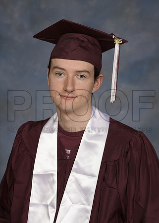 Salek Brendan