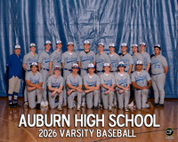 AHS Spring Teams 26 Varsity Baseball _ Team8x10 _ Team3 white text(1)