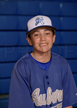 AHS Spring Teams 26 JV Baseball Favreau Anthony_ Team DIGITAL _ Sportsmate3(1)