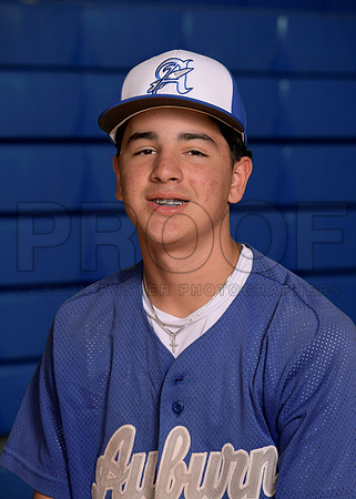 AHS Spring Teams 26 JV Baseball Candelaria Nicholas_ Team DIGITAL _ Sportsmate3(1)