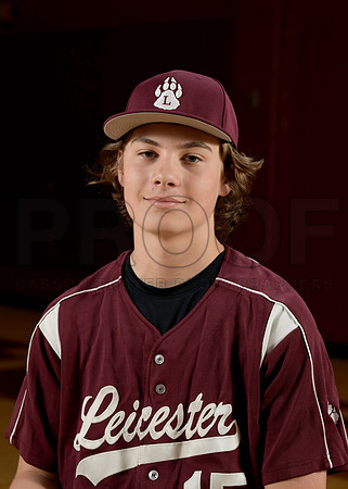 LHS LMS Spring Teams 26 JV Baseball Harrington Chris_ Team DIGITAL(1)
