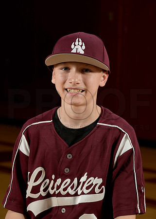 LHS LMS Spring Teams 26 JV Baseball Kelley Damien_ Team DIGITAL(1)