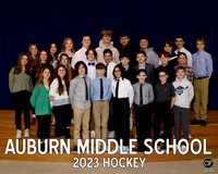 AMS Winter Teams 2223 Hockey  _ Team8x10 _ Team3 white text(1)