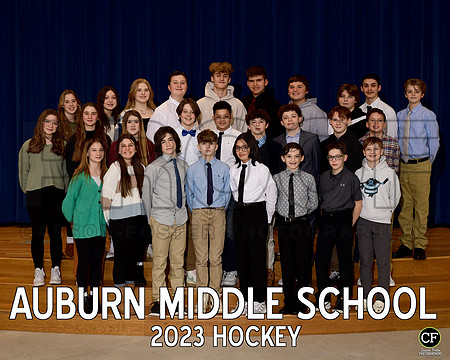 AMS Winter Teams 2223 Hockey  _ Team8x10 _ Team3 white text(1)