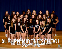 AMS Winter Teams 2223 Cheer  _ Team8x10 _ Team3 white text(1)