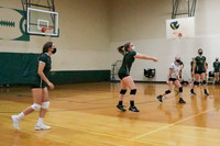 varsity volleyball