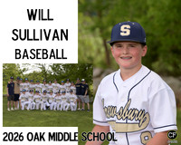OMSSpringTeams26 Baseball Sullivan Will_ Team8x10 _ Sportsmate3(1)