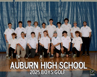 AHS FALL TEAMS 2025 Boys Golf _ Team8x10 _ Team3 white text(1)