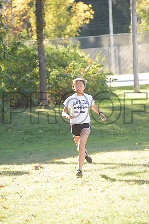 _SRD6567